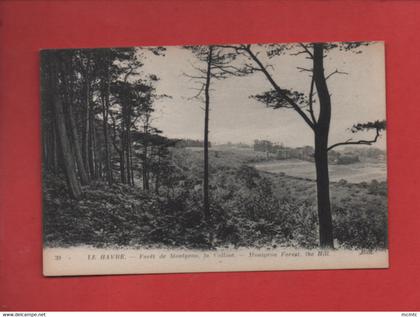 CPA -   Le Havre - Forêt de Montgeon, la Colline - Montgeon Forest The Hill
