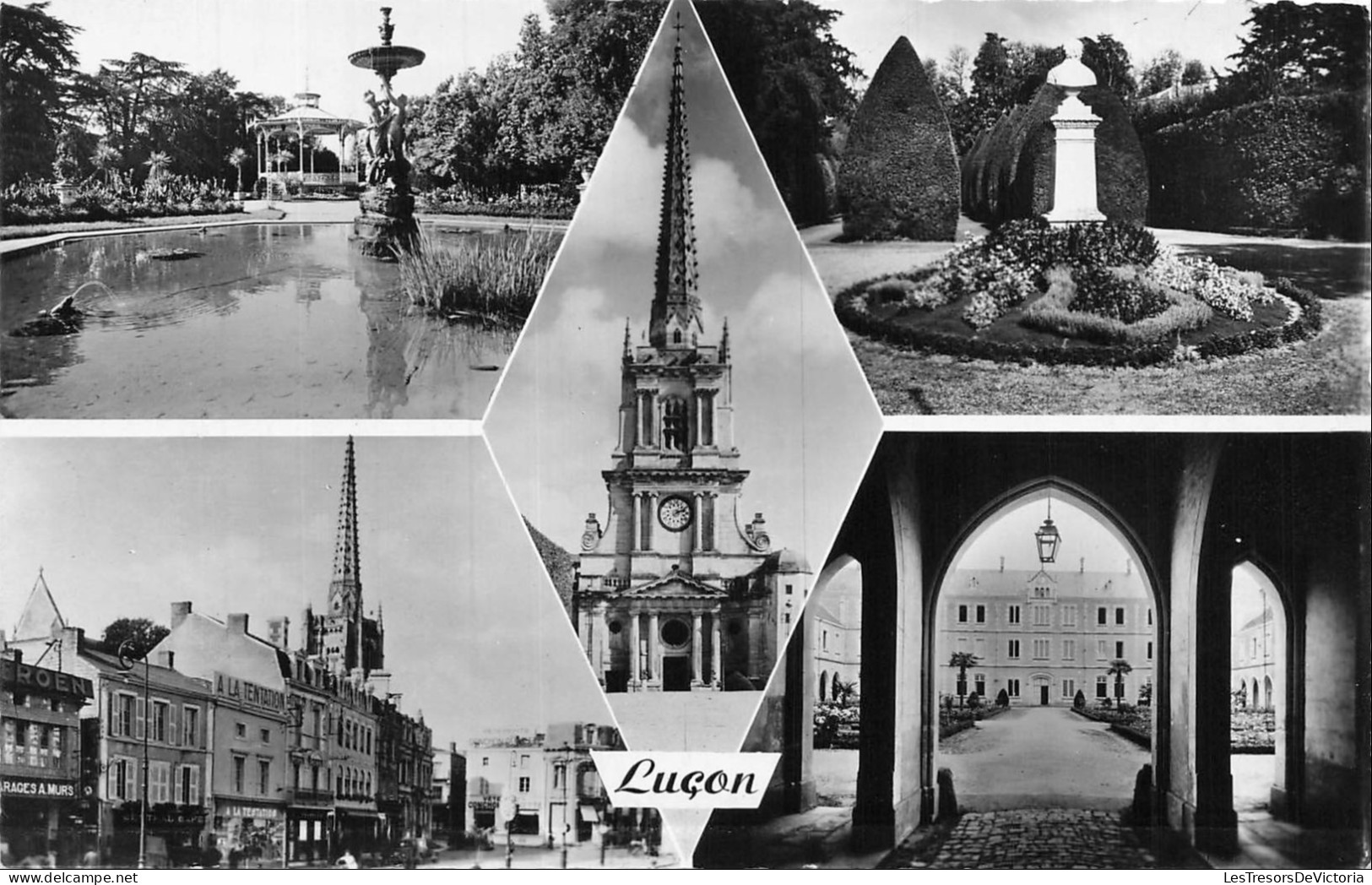 FRANCE - Luçon - Jardin Public - Allée des Ifs - Cathédrale - Place - CP