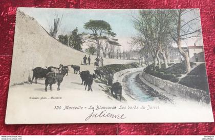 1909-La Blancarde les Bords du jarret Carte Postale [13] Bouches-du-Rhône Marseille Banlieue Cinq Avenues, Chave-chèvres