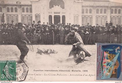 13 / MARSEILLE / EXPOSITION CANINE /  LES CHIENS POLICIERS ARRESTATION D'UN APACHE / VIGNETTE EXPOSITION ELECTRICITE