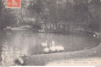 13 / 13 / MARSEILLE/ JARDIN ZOOLOGIQUE / LE LAC / LACOUR 3461