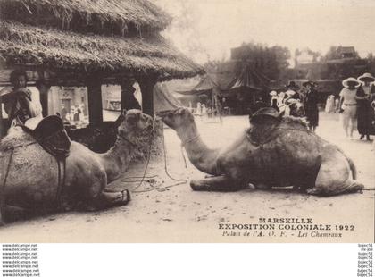 Marseille - Expositions Coloniales 1922 - Palais de l' A.O.F - les chameaux