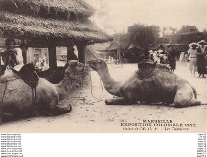 Marseille - Expositions Coloniales 1922 - Palais de l' A.O.F - les chameaux
