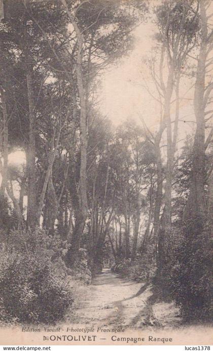 13 / MARSEILLE / MONTOLIVET / CAMPAGNE RANQUE