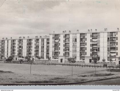 13 / MARSEILLE / PONT DE VIVAUX / LES MARRONNIERS / RARE CPSM