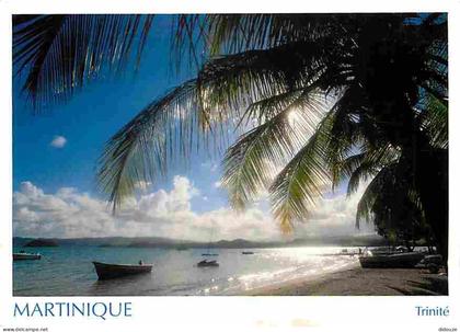 Martinique - La Trinité - Plage - CPM - Voir Scans Recto-Verso