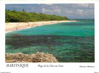 Carte Postale - Martinique - Le Marin - Le Cap Macré - Plage de la Côte-au-Vent - CPM - Voir Scans Recto-Verso - Poscard