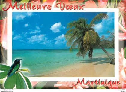 CPSM Martinique-Le marin     L2521