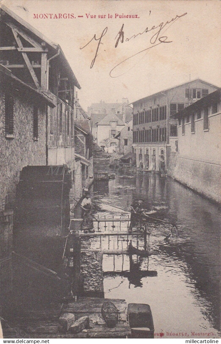FRANCE - Montargis - Vue sur le Puiseaux