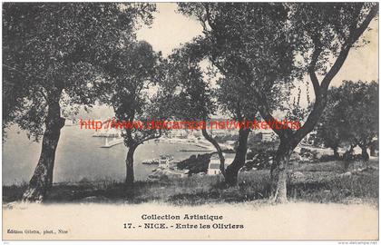 Entre les oliviers Nice