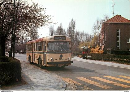 CPM Photo: Robert TEMMERMAN