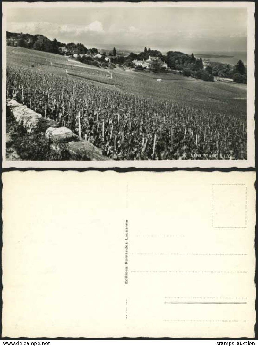 France Old Postcard VINCY - GILLY Panorama General View