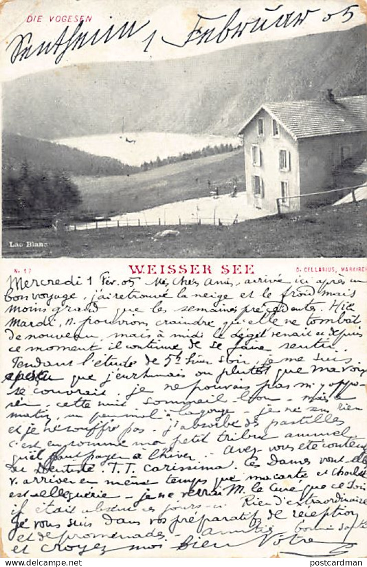 France - Orbey - Le Lac Blanc - Ed. D. Cellarius