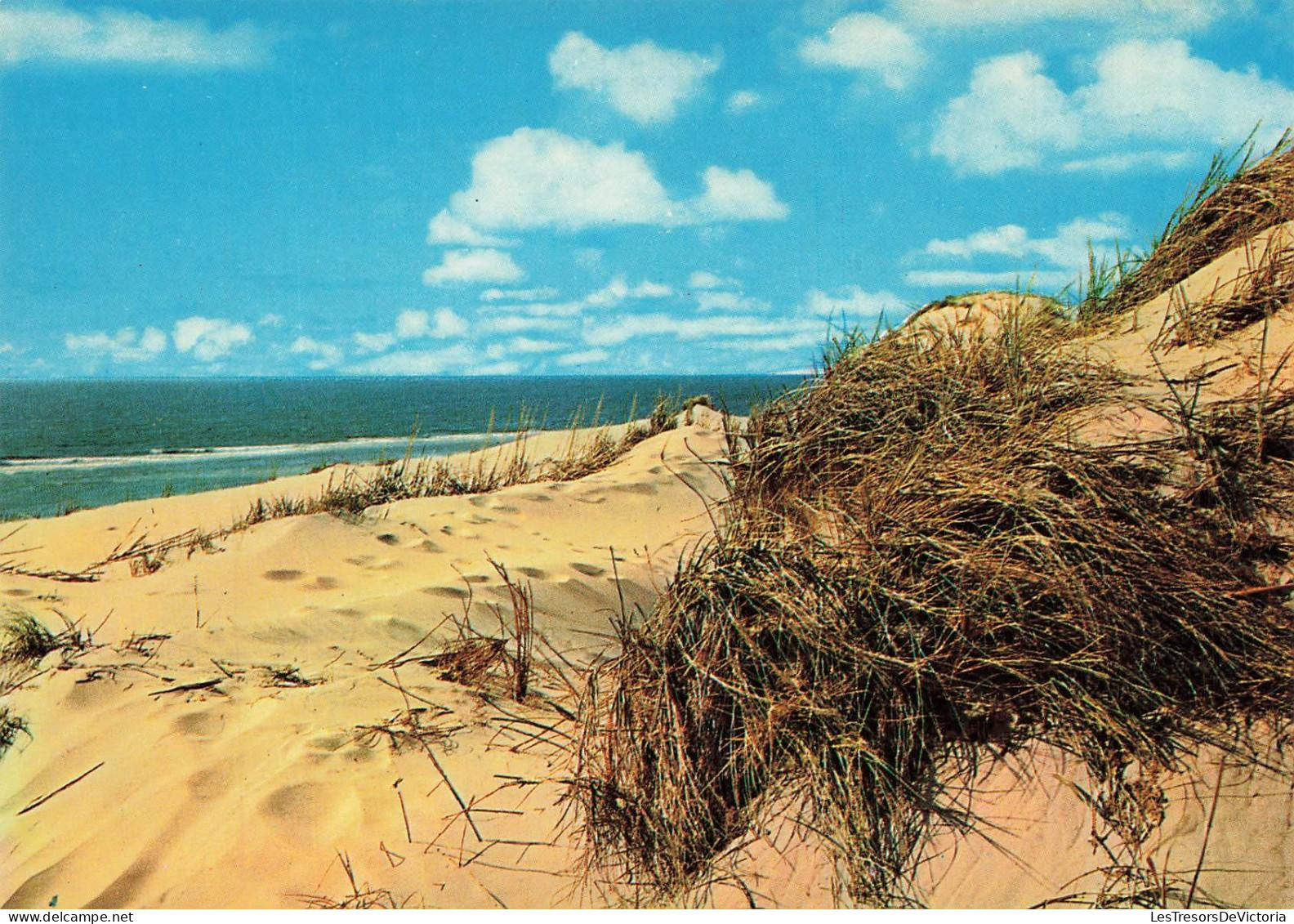 FRANCE- Oye Plage - plage - la mer - Uitgever Van Mieghem A Oostende - Carte Postale