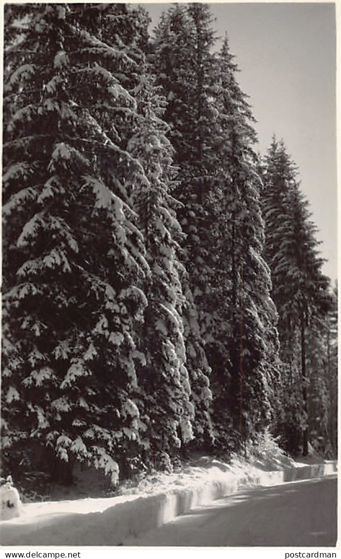 France - PONTARLIER (25) Carte Photo Stainacre