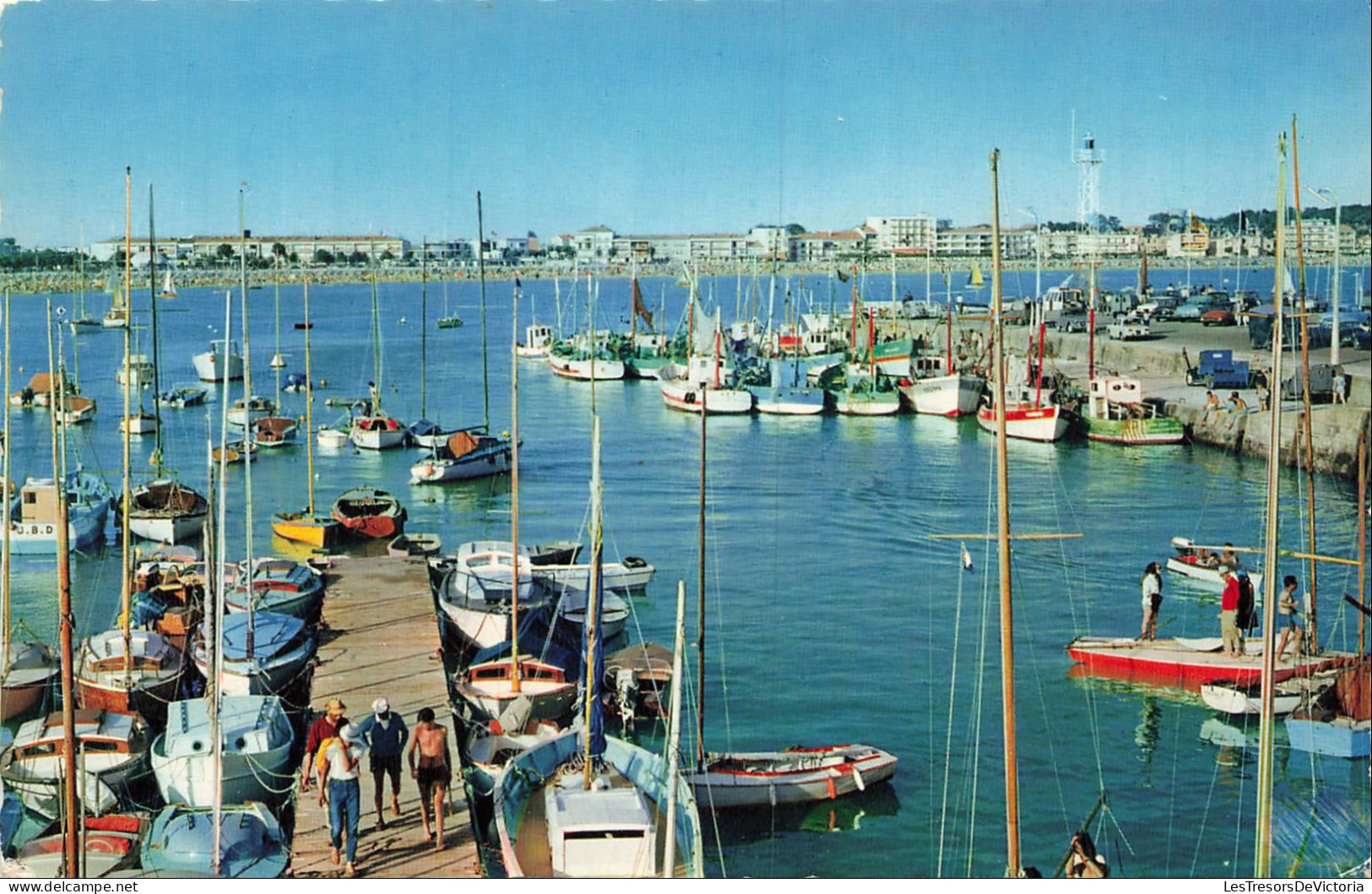 FRANCE - Royan - Port - Voiliers - Mâts - Quais - Paysage - Plage - Voiture - Transport - Animé - Carte postale