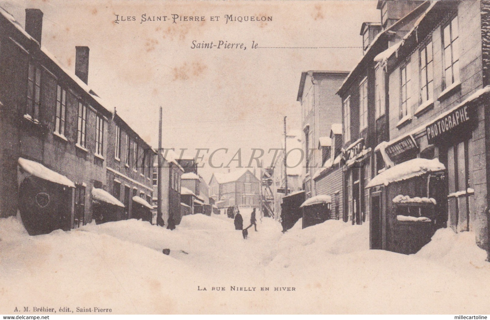 FRANCE - Saint Pierre, Iles Saint-Pierre et Miquelon, Rue Nielly, Postcard 1900