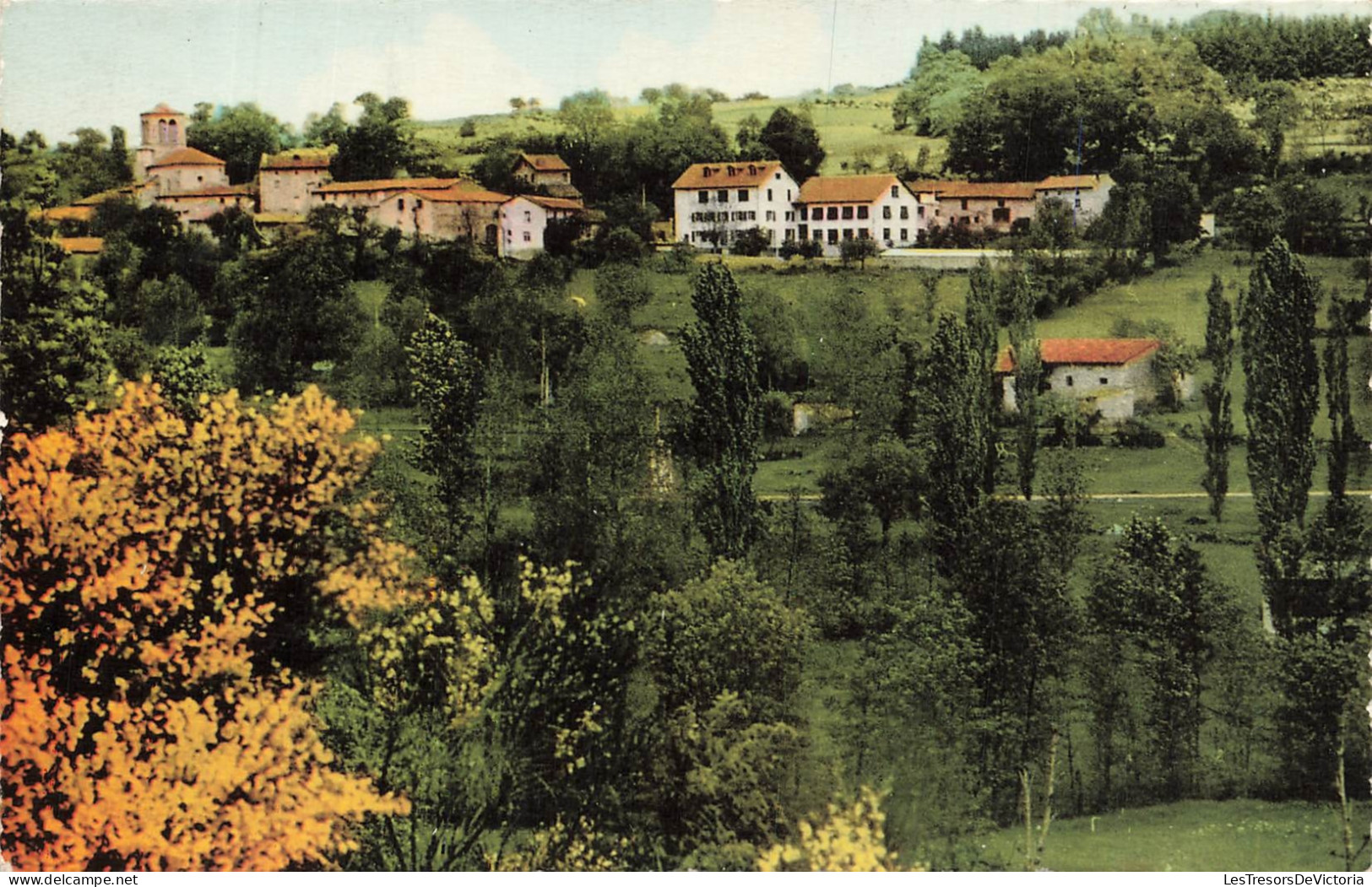 FRANCE - Saint Priest la Vetre - St Julien la Vêtre - vue panoramique - CP