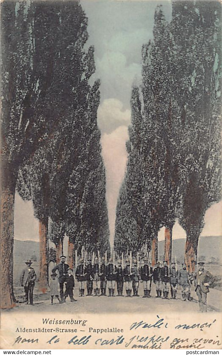 France - WISSEMBOURG (67) Aldenstädter-Straße - Pappelallee