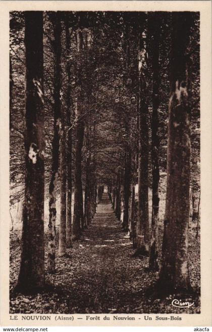 CPA Le Nouvion-en-Thierache - Foret de Nouvion - Un Sous-Bois (1061959)