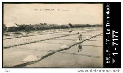 17 La Tremblade - 2176 - LA TREMBLADE - Marais salants - sel marais salants - marais salants paludier  /  D17D  C17452C
