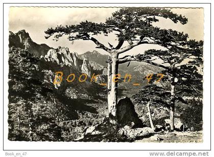 {36139} 20 2A Corse du Sud Col de Bavella