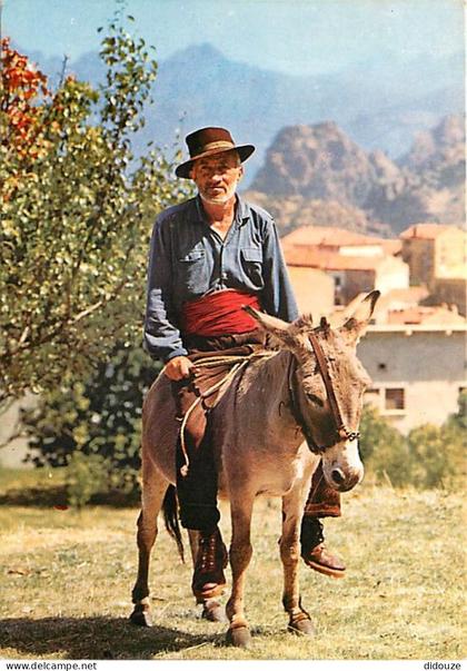 20 - Corse - Types Corse - Anes - Folklore - CPM - Voir Scans Recto-Verso