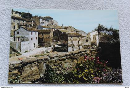 Cpm, Porticciolo, Corse 20