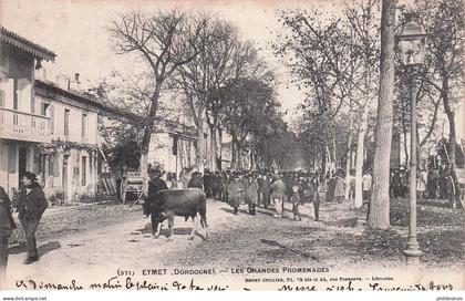 DORDOGNE EYMET  les grandes promenades
