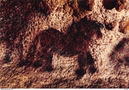 23-JK-5184 : MONTIGNAC-SUR-VEZERE. PREHISTOIRE. CHEVAL