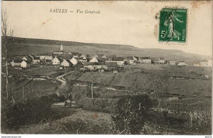 CPA SAULES Vue Generale (1114986)