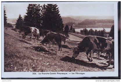 FRANCHE COMTE