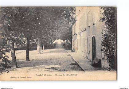 LORIOL - Château du Colombier - état