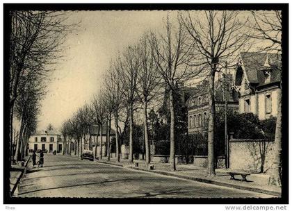 27 Verneuil-sur-Avre allee arbres D27D K27679K C27679C RH095719