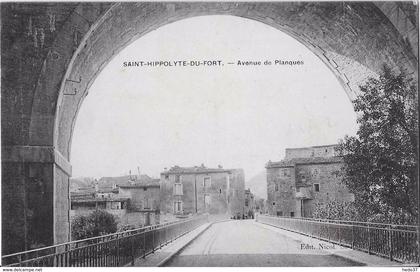 Saint-Hippolyte-du-Fort - Avenue de Planques