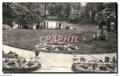 CPA Le Bosc Par Capestang