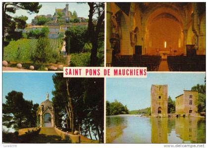 34 / SAINT PONS DE MAUCHIENS / MULTIVUES