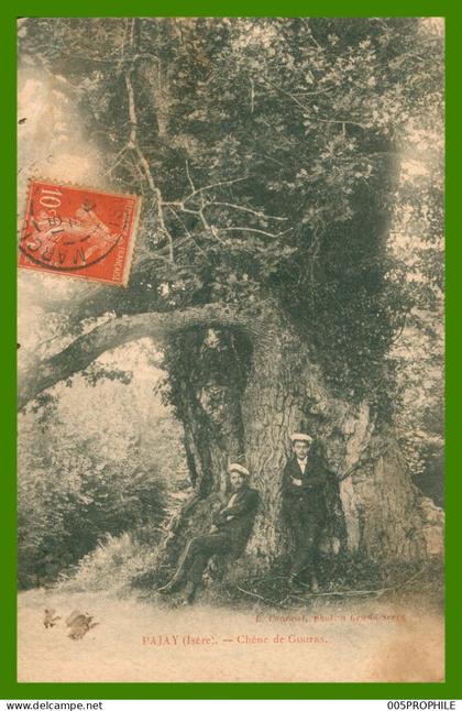 * PAJAY - CHENE DE GOURAS - ANIMÉE - PHOTO CHARRAT - 1907