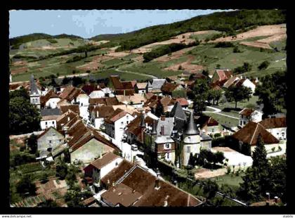 39 - LAVIGNY - VUE AERIENNE