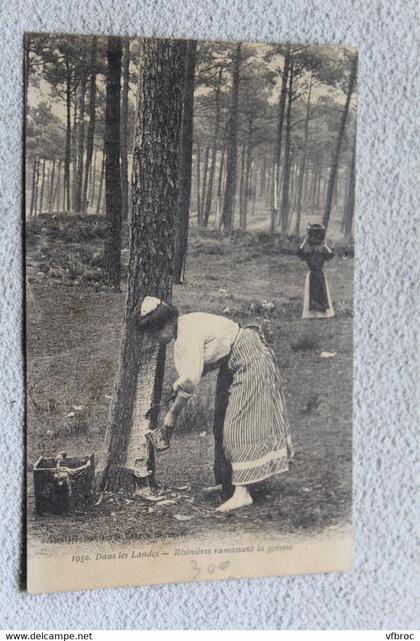 Résinières ramassant la gemme, Landes 40