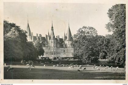 CPM Pouilly sur loire (lievre) le chateau du