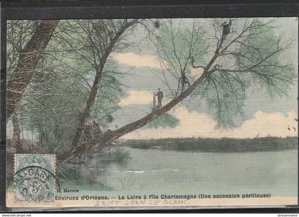 45 - SAINT JEAN LE BLANC - La Loire à l' Ile Charlemagne (Une ascension périlleuse)
