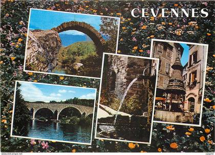 CPM Lumiere et Coulerus des Cevennes Anduze et Saint Jean du Gard Divers aspects
