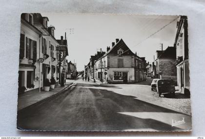 Cpm, Ingrandes sur Loire, place du Lion d'Or, Maine et Loire 49