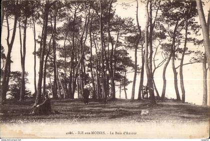CPA Ile aux Moines Le Bois D Amour
