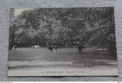 Montigny, sacré coeur, la prairie, Moselle 57