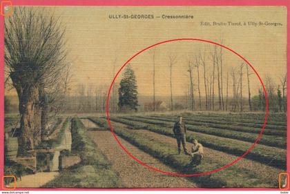 Ully-St-Georges : Cressonnière - Vue couleur d'une exploitation Agricole - Edit. Brulin-Tiercé à Ully-St-Georges