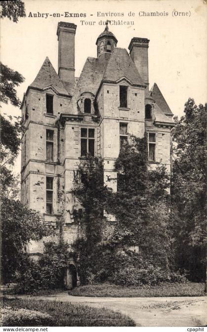 CPA Aubry en Exmes Environs de Chambois Tour du chateau