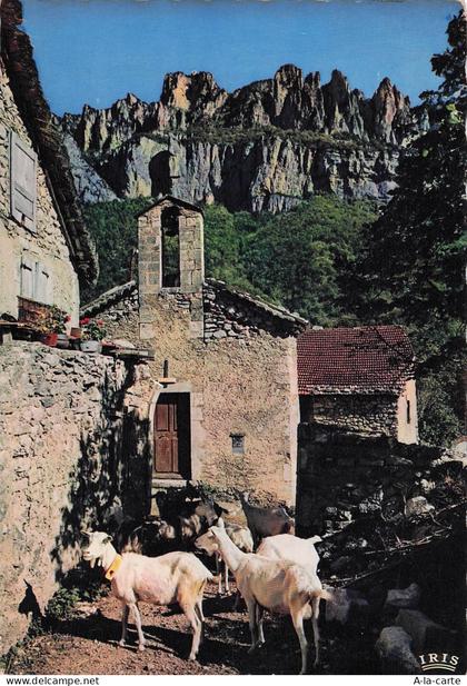 66 AMELIE LES BAINS PALALDA THERMES