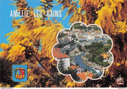 66 AMELIE LES BAINS PALALDA VUE GENERALE